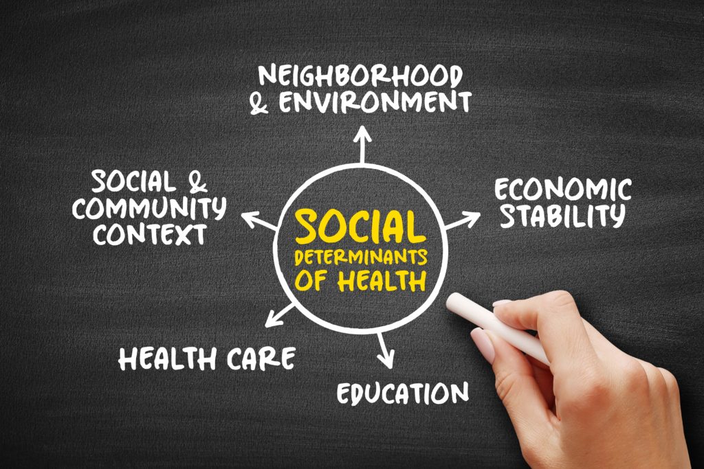 Beyond Health Care: The Role of Social Determinants in Promoting Health and Health Equity